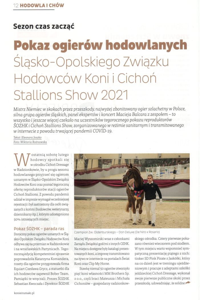 Cichoń Stallions Show